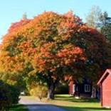 org:/landingpages/winnaars DK NO SE/17e-prize-scandinavie.jpg